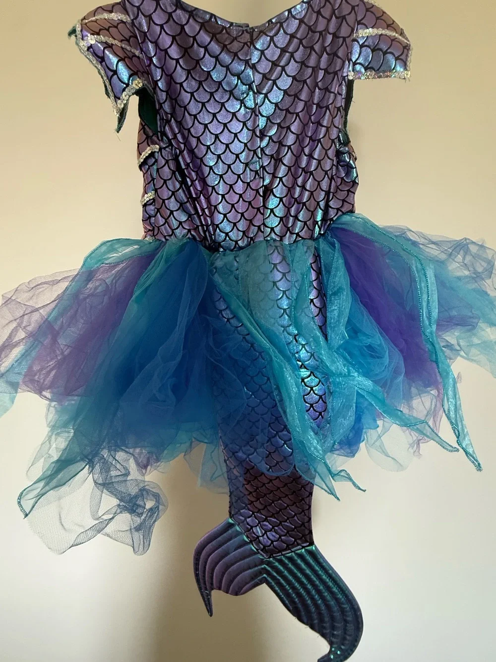 Gillian’s closet Fish costume